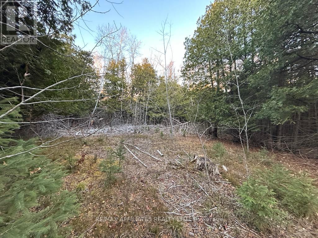 00 Snowdon Corners Road, Merrickville-Wolford, Ontario  K0G 1N0 - Photo 1 - X11882115