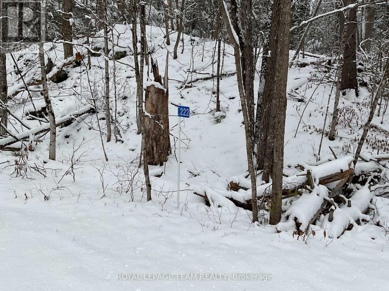 222 Harding Road N, Lanark Highlands, Ontario  K0A 1A0 - Photo 1 - X11888736