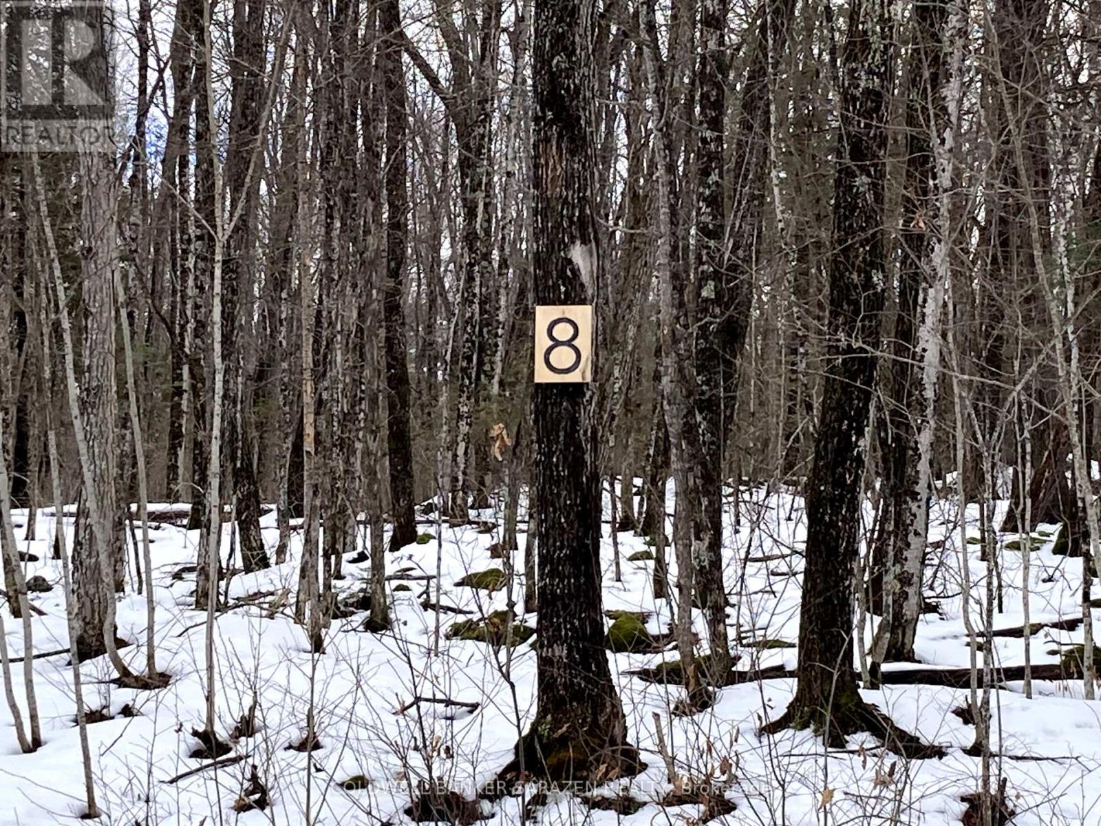 Lot 8 Deerfield Drive, Mcnab/braeside, Ontario  K0A 3L0 - Photo 1 - X11908006